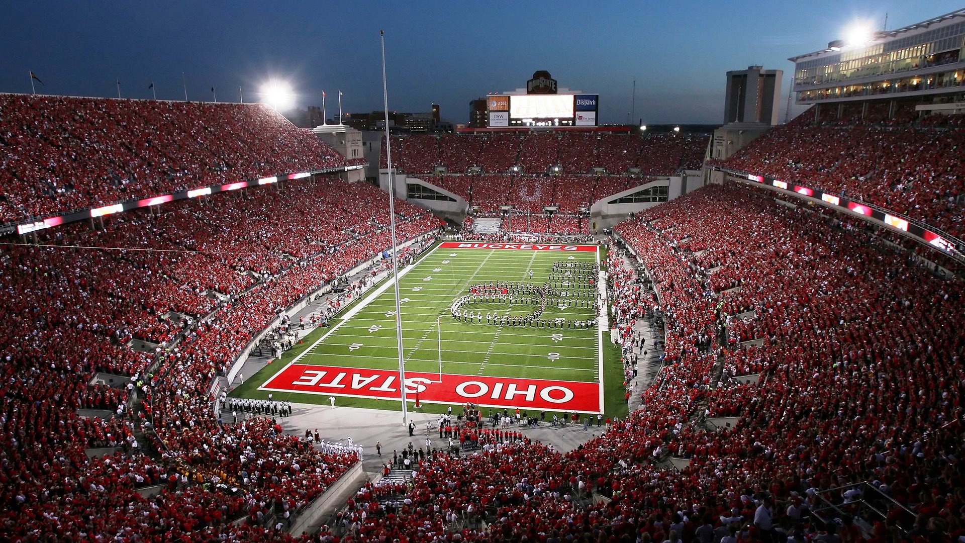 -王权更迭之夜,福克斯加冕关键先生,国王生死战力擒灰熊