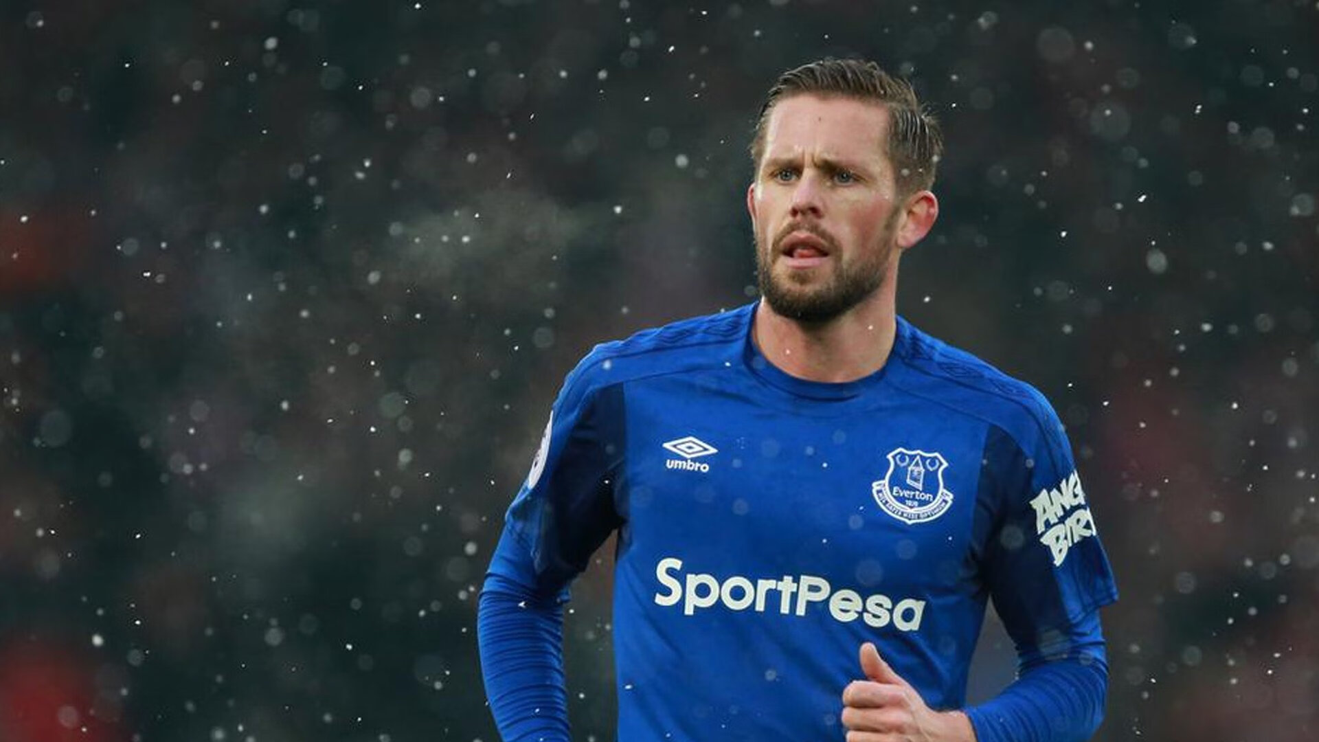 DB电竞直播平台入口-2026世界杯焦点战,爱尔兰如何以战术革新制霸瑞典